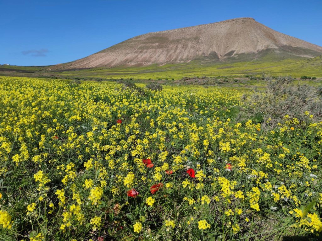 Lanzarote