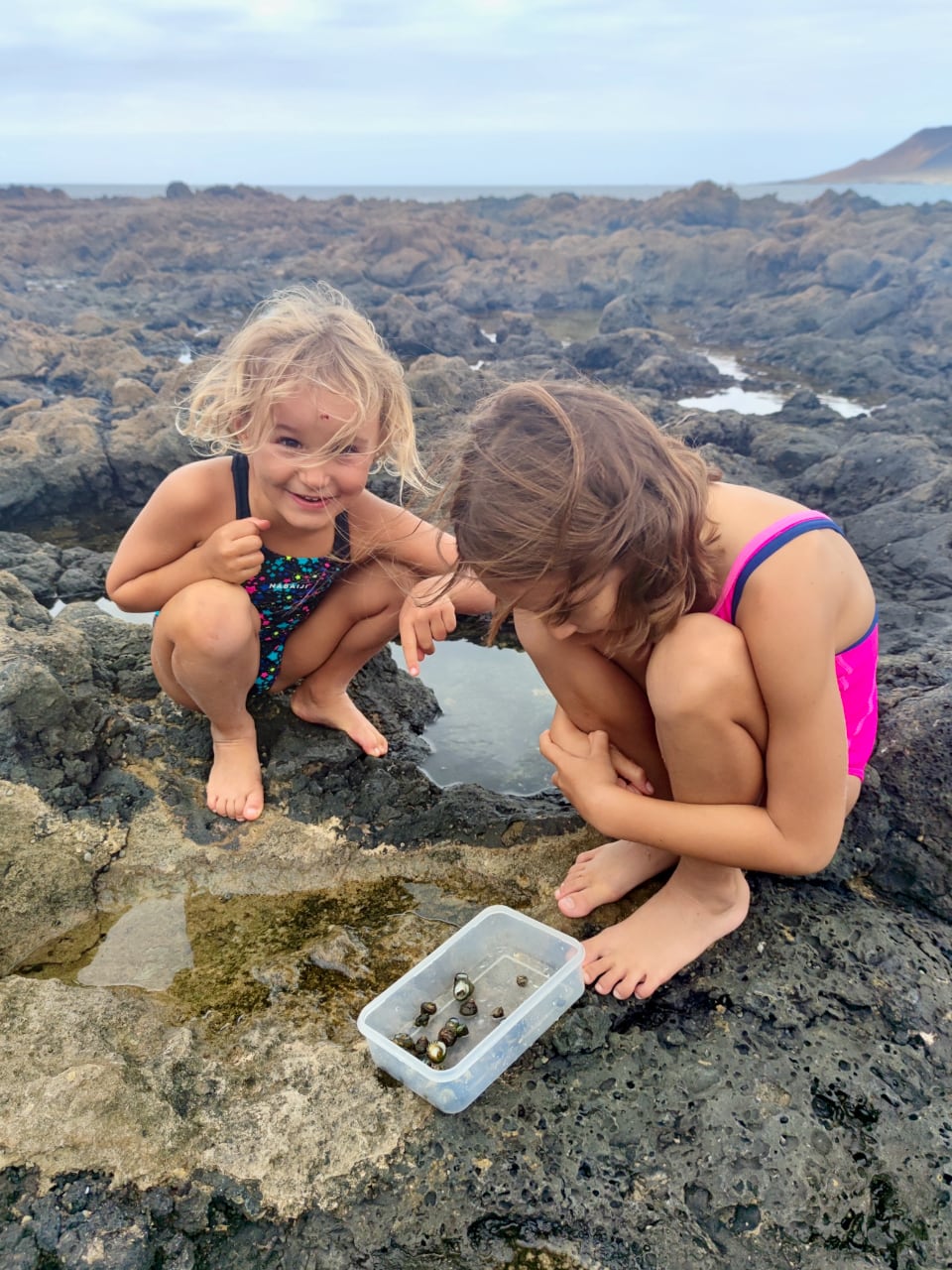 сбор моллюсков лансароте улитки